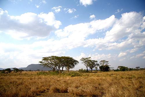 Kenia: Landschaft