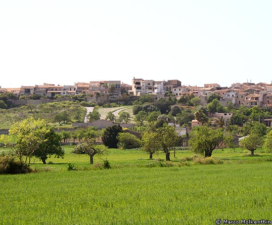 Blick auf Montuïri, Mallorca